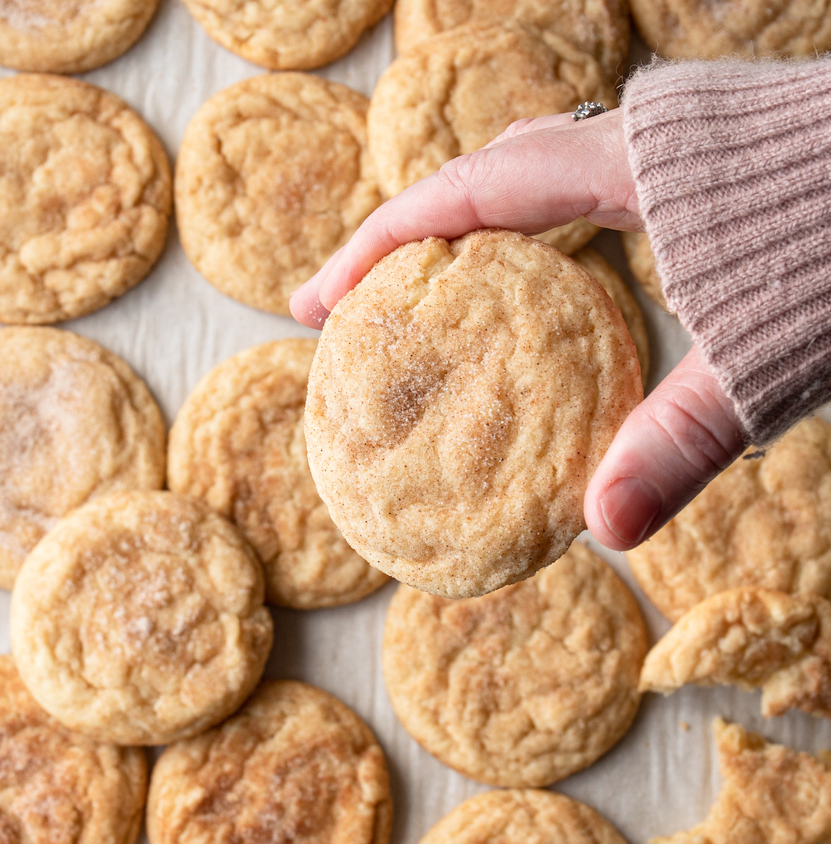 A hand holding a snickerdoodle cookie.