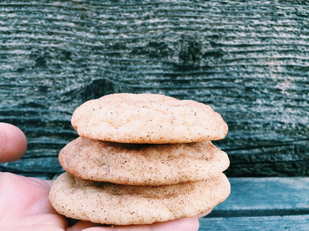 A hand holding three snickerdoodle cookies.