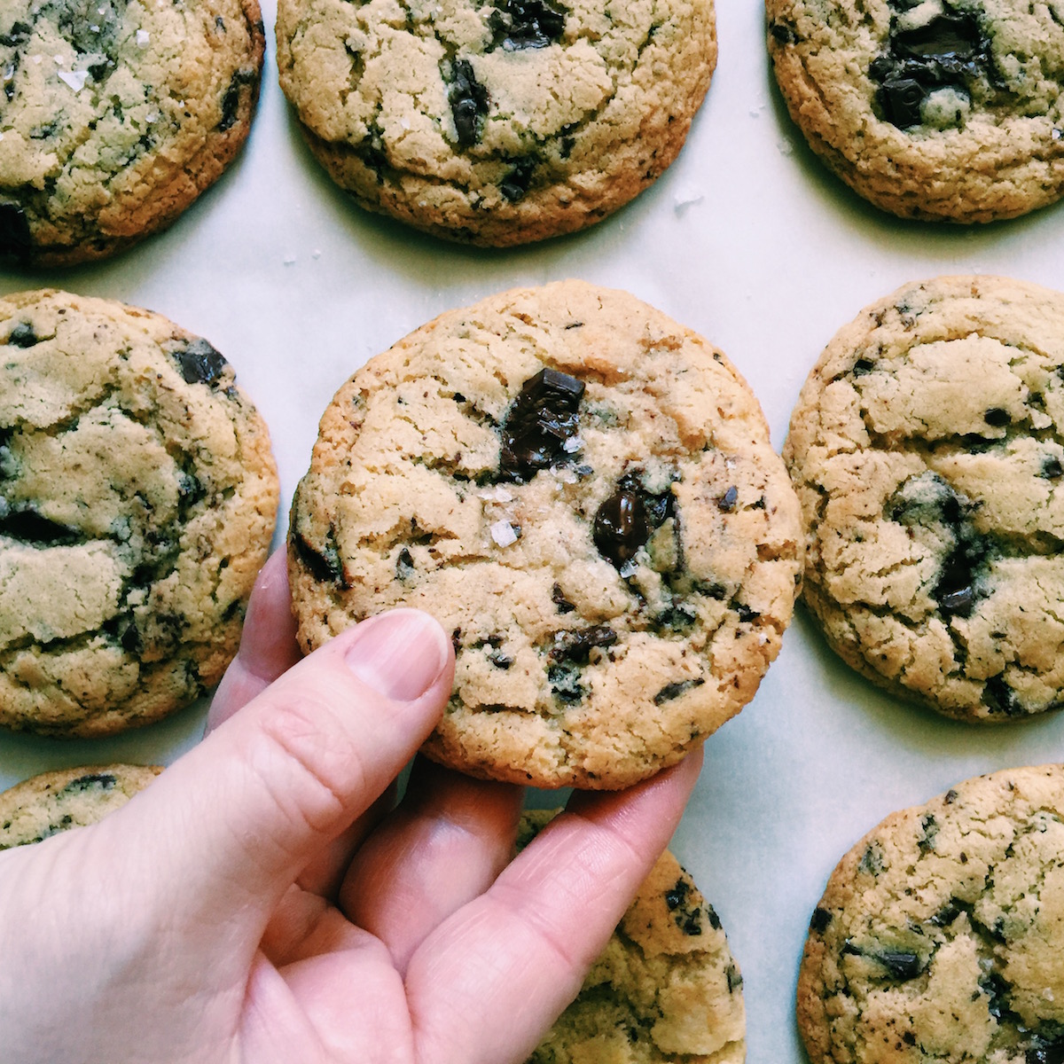 A hand holding a Damn Delicious Brown Butter Chocolate Chip Cookies (Gluten Free).