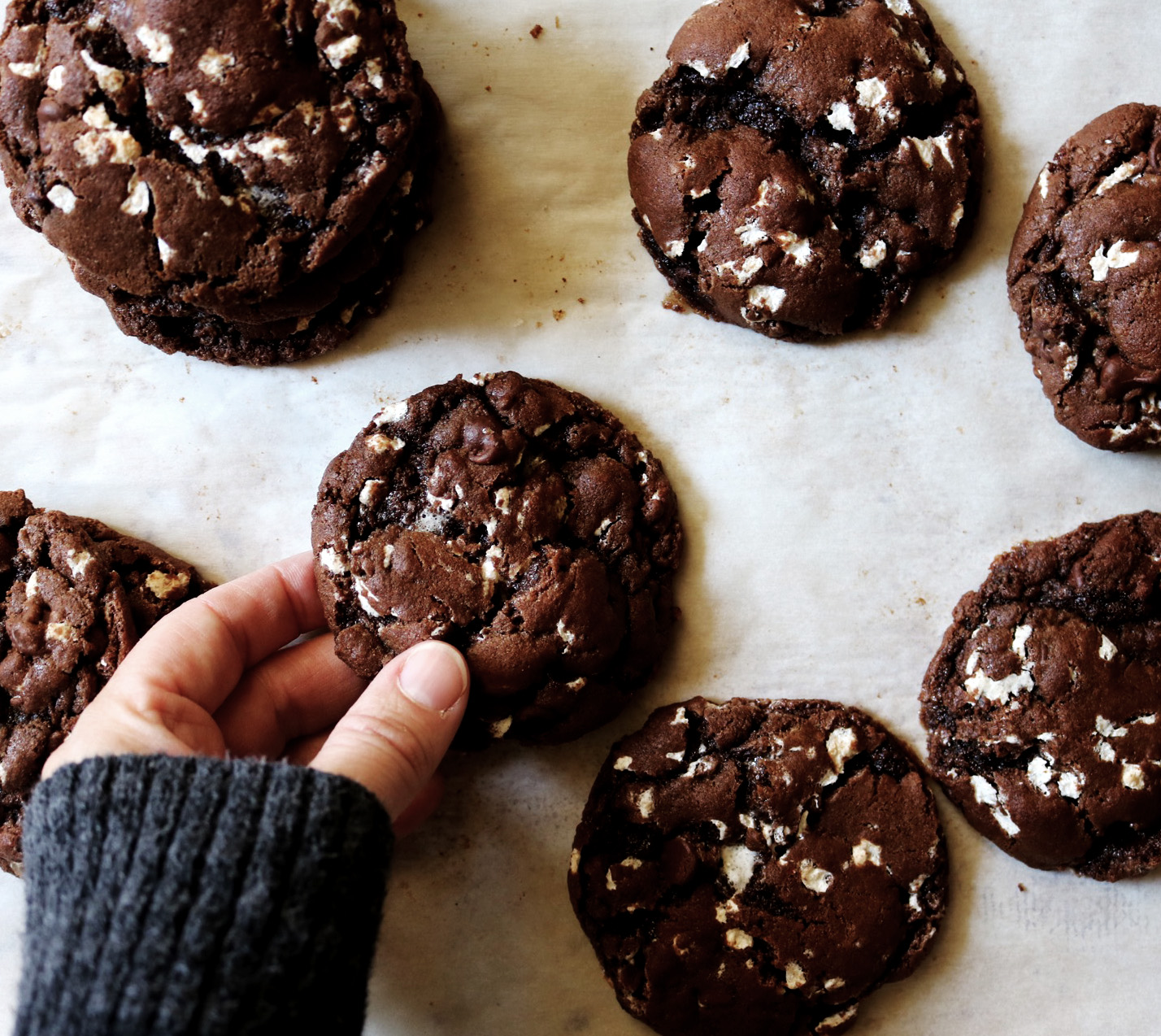 A hand holding a chewy chocolate marshmallow cookie.
