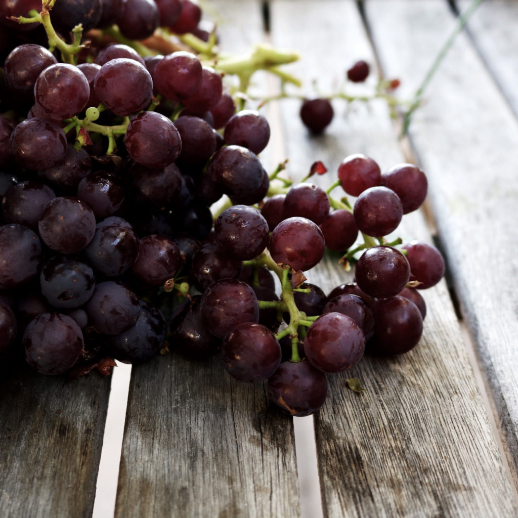 grapes from DisplacedHousewife farmette | @displacedhousewife