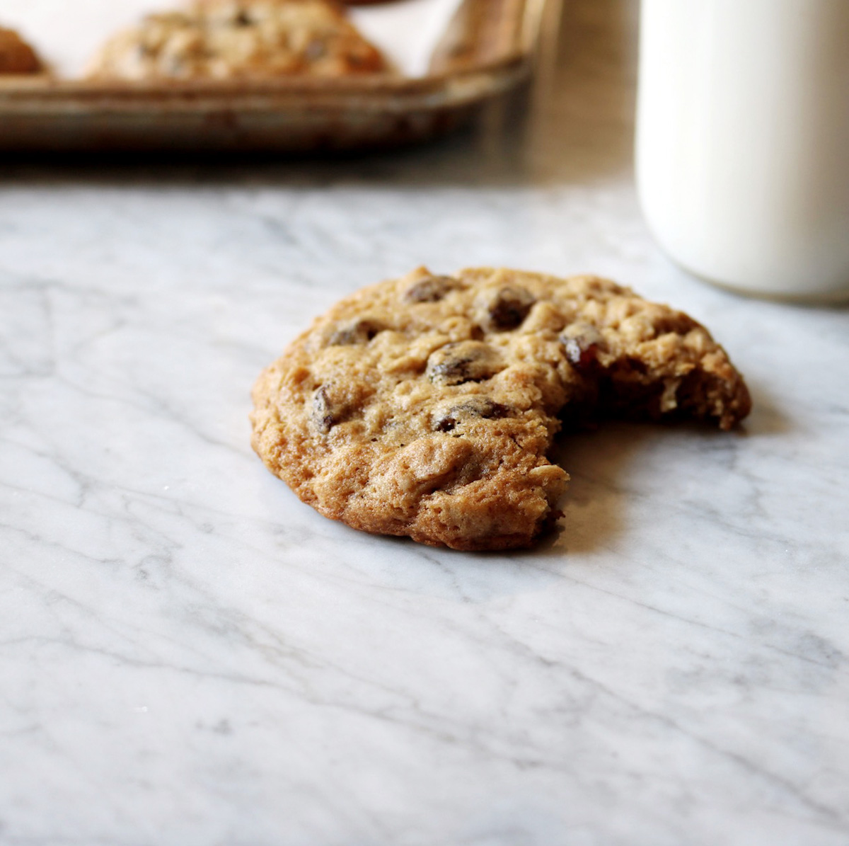 A close up of a classic oatmeal cookie 