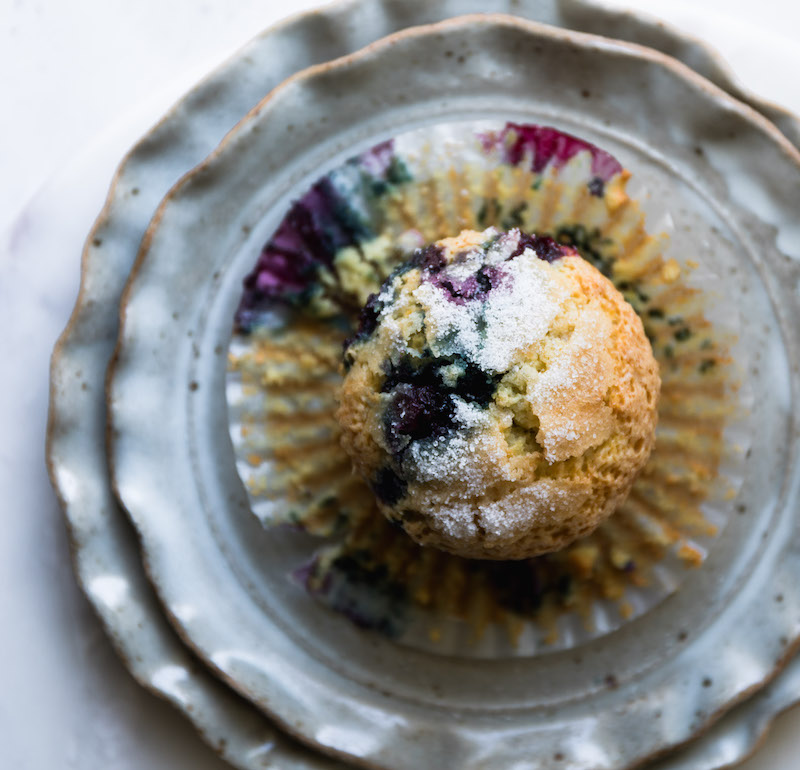 One blueberry muffin on a plate.