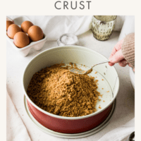 Graham cracker crust crumb in a springform pan