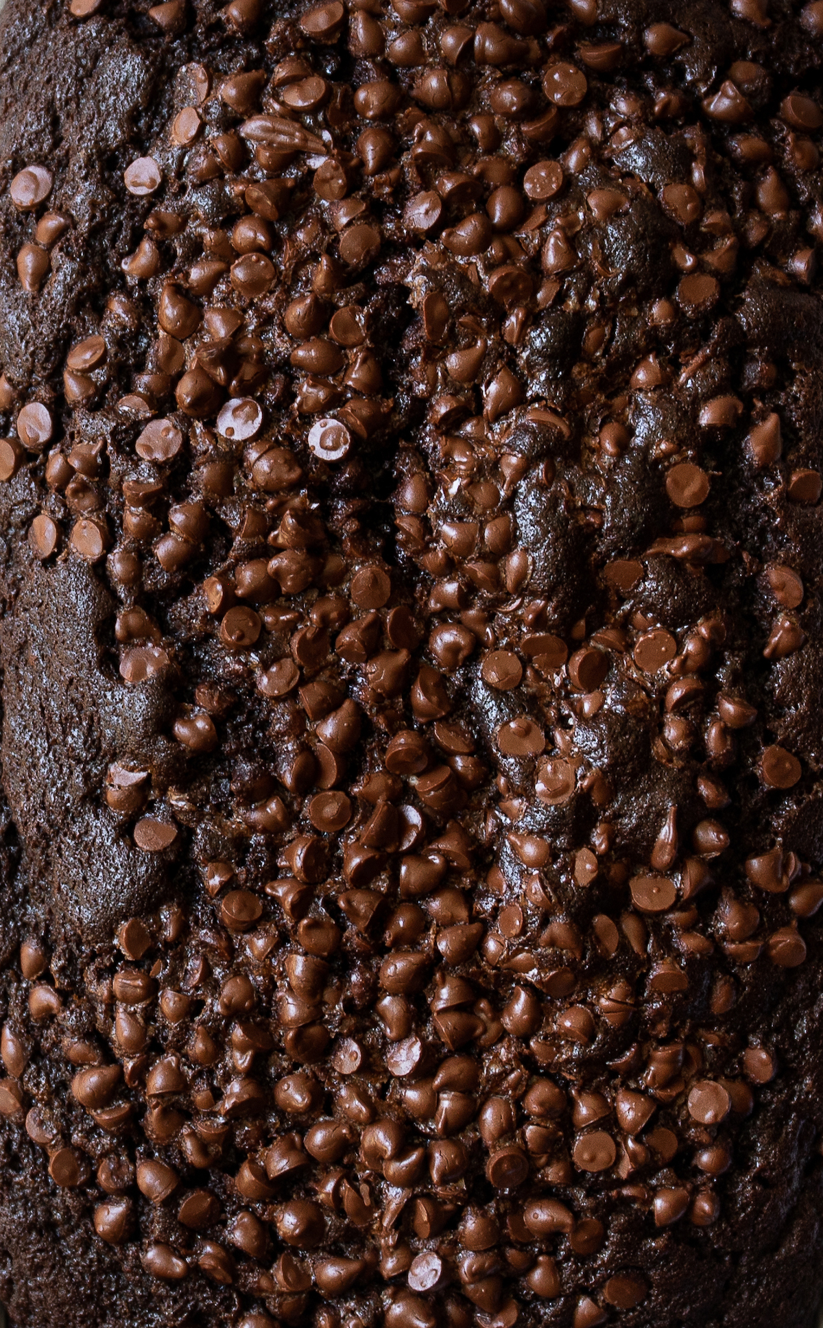 A close up shot of mini chocolate chips on top of a loaf of chocolate banana bread.